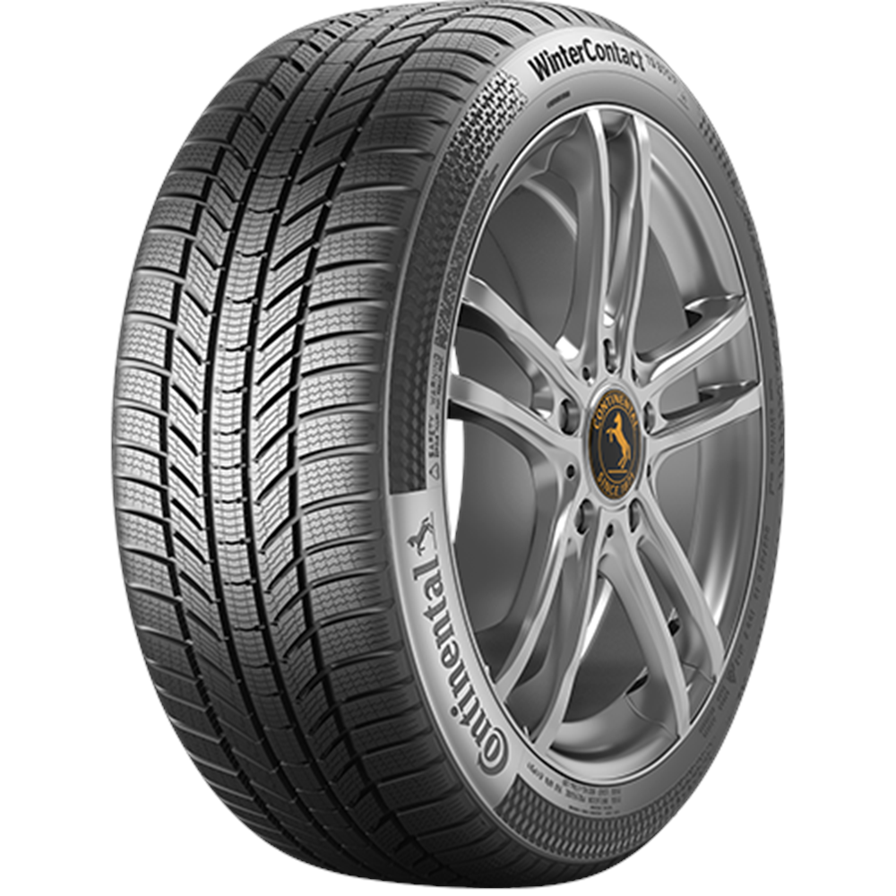 255/45/21 106V XL FR TS870P KIŞ CONTINENTAL
